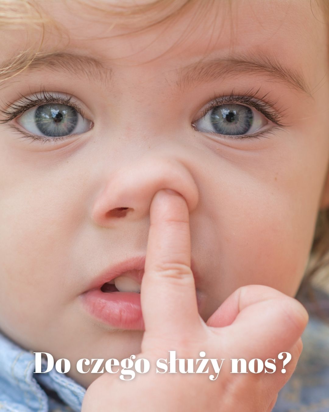 Nos – wielozadaniowy mistrz. Jakie funkcje pełni?